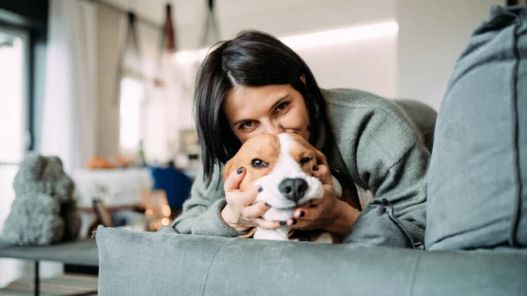Zapach psa w domu – jak go zlikwidować? Zdradzamy 5 sposobów…