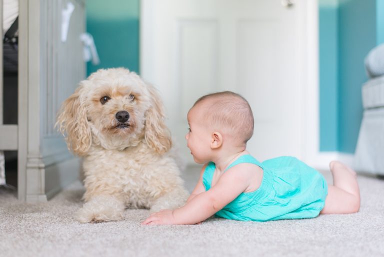 Niezwykły wpływ psa na rozwój dziecka – dowiedz się więcej…